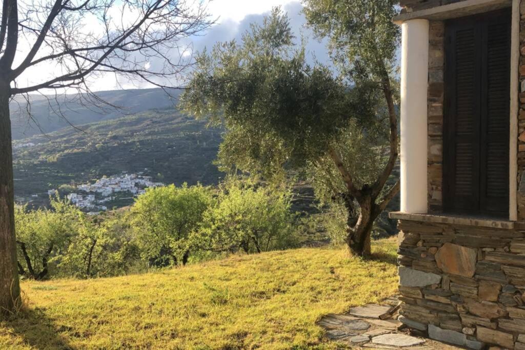 Vila Casa El Higueral Mecina Alfahar Exteriér fotografie