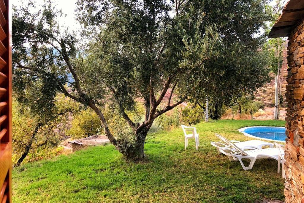 Vila Casa El Higueral Mecina Alfahar Exteriér fotografie