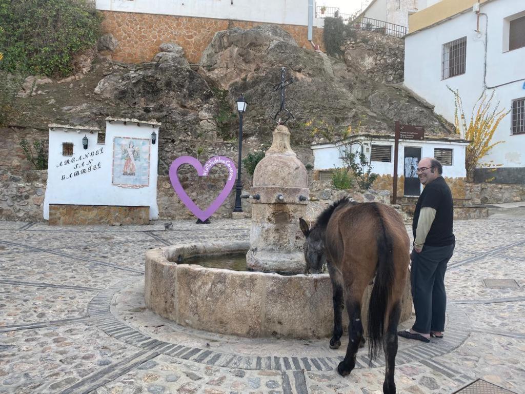 Vila Casa El Higueral Mecina Alfahar Exteriér fotografie