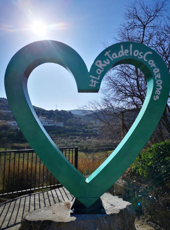Vila Casa El Higueral Mecina Alfahar Exteriér fotografie