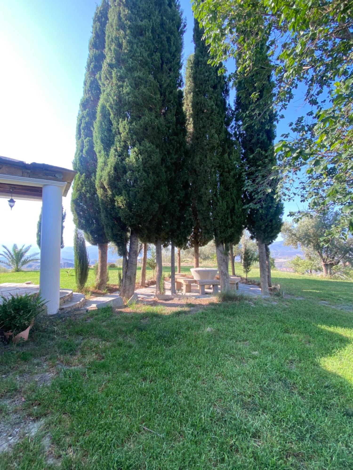 Vila Casa El Higueral Mecina Alfahar Exteriér fotografie